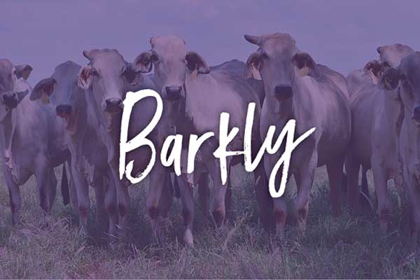 Barkly